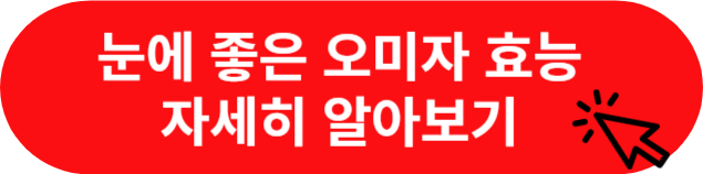 눈에-좋은-오미자-효능