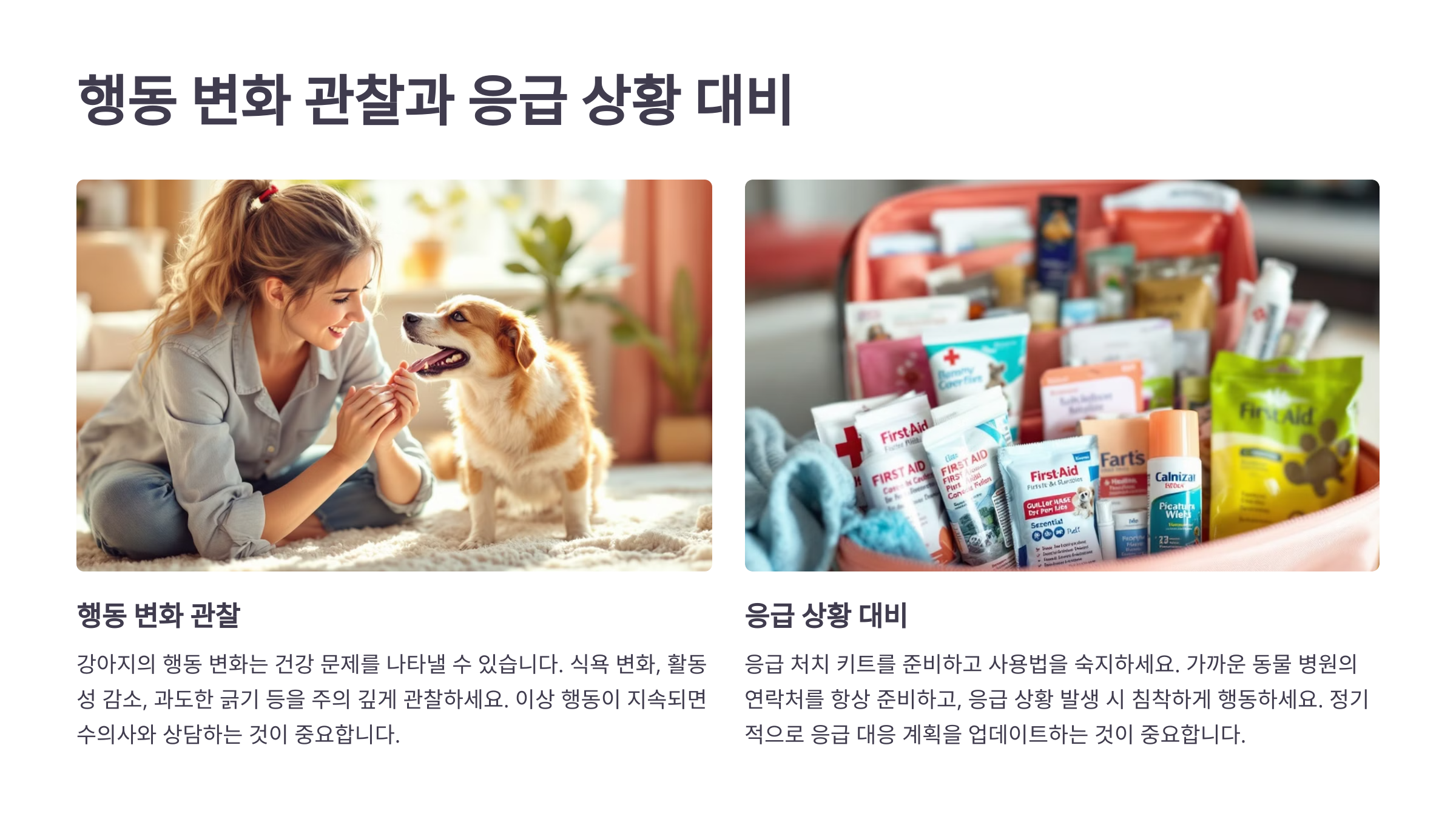 응급 상황 대비