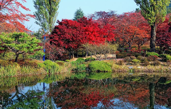 경주 보문정