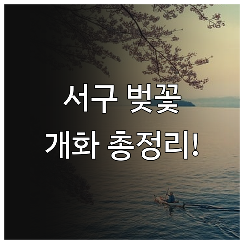 대구 서구 벚꽃 명소 추천 및 202..