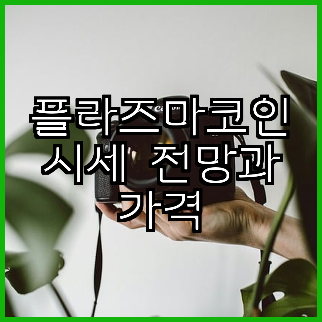 플라즈마코인 시세 전망과 가격 분석 최신