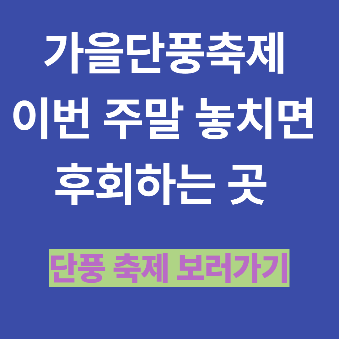 가을단풍축제 이번 주말 놓치면 후회하는 곳