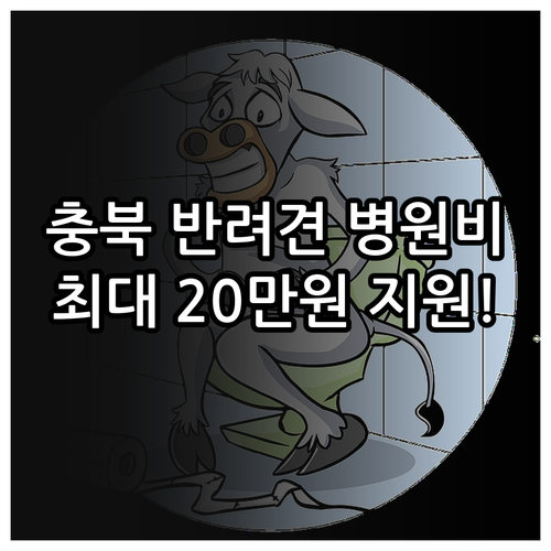 충청북도 취약계층 반려동물 병원비 지..