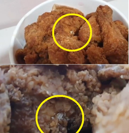 진모씨가 구입한 대형마트 치킨에서 파리알로 추정되는 하얀 물체가 발견됐다 [사진=연합뉴스TV 캡쳐]