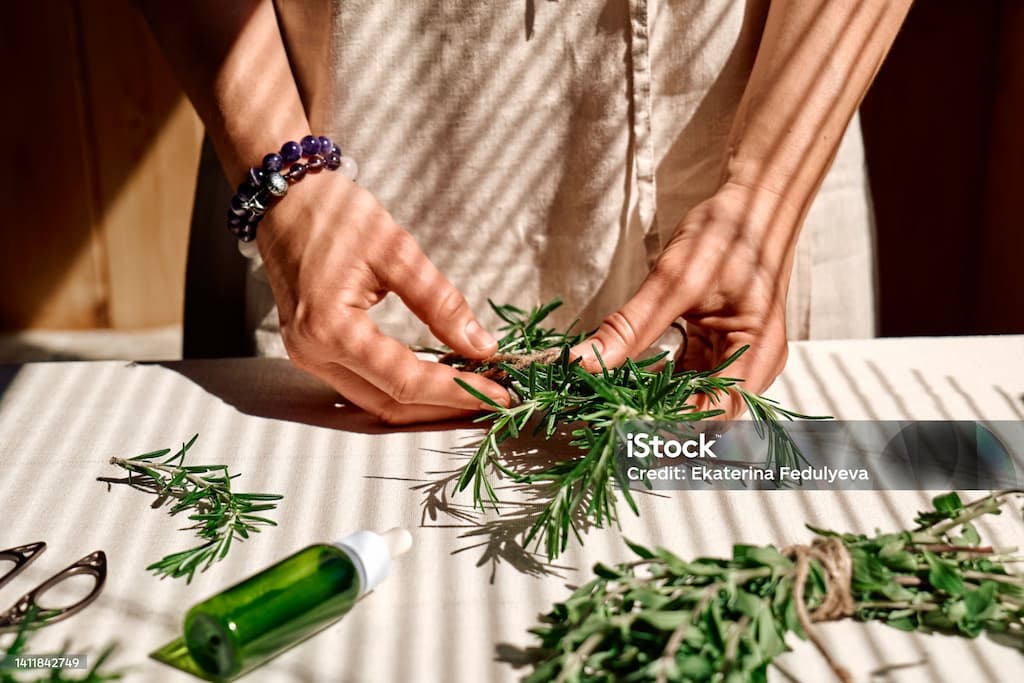 제로웨이스트 라이프를 위한 허브 키우기 &ndash; 직접 재배하고 활용하는 방법