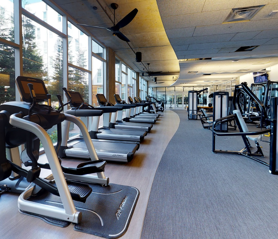 체형별 맞춤 다이어트 전략