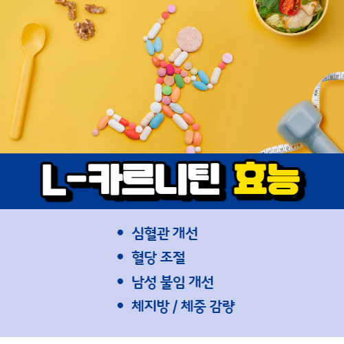 엘카르니틴