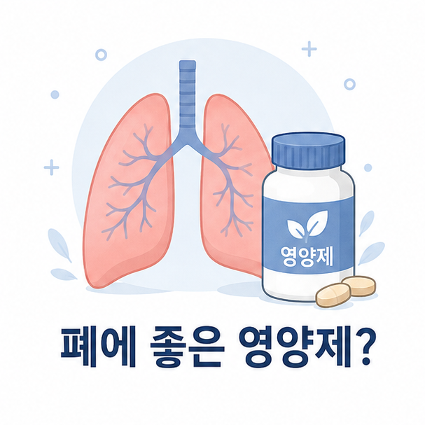 폐 모양 아이콘과 영양제 병으로 표현한 폐 건강 영양제 안내 이미지