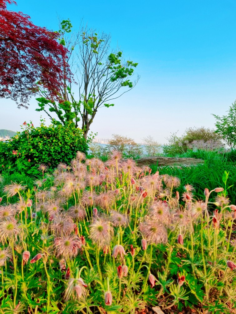 인천 영종도가볼만한 곳: 구읍뱃터 영종진 공원의 해안 산책로, 숲 산책로