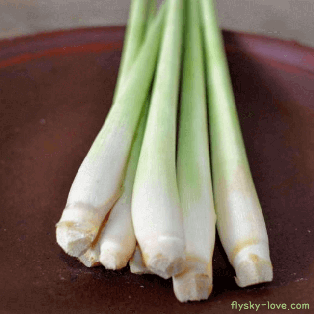 불면증에 좋은 레몬그라스 특징