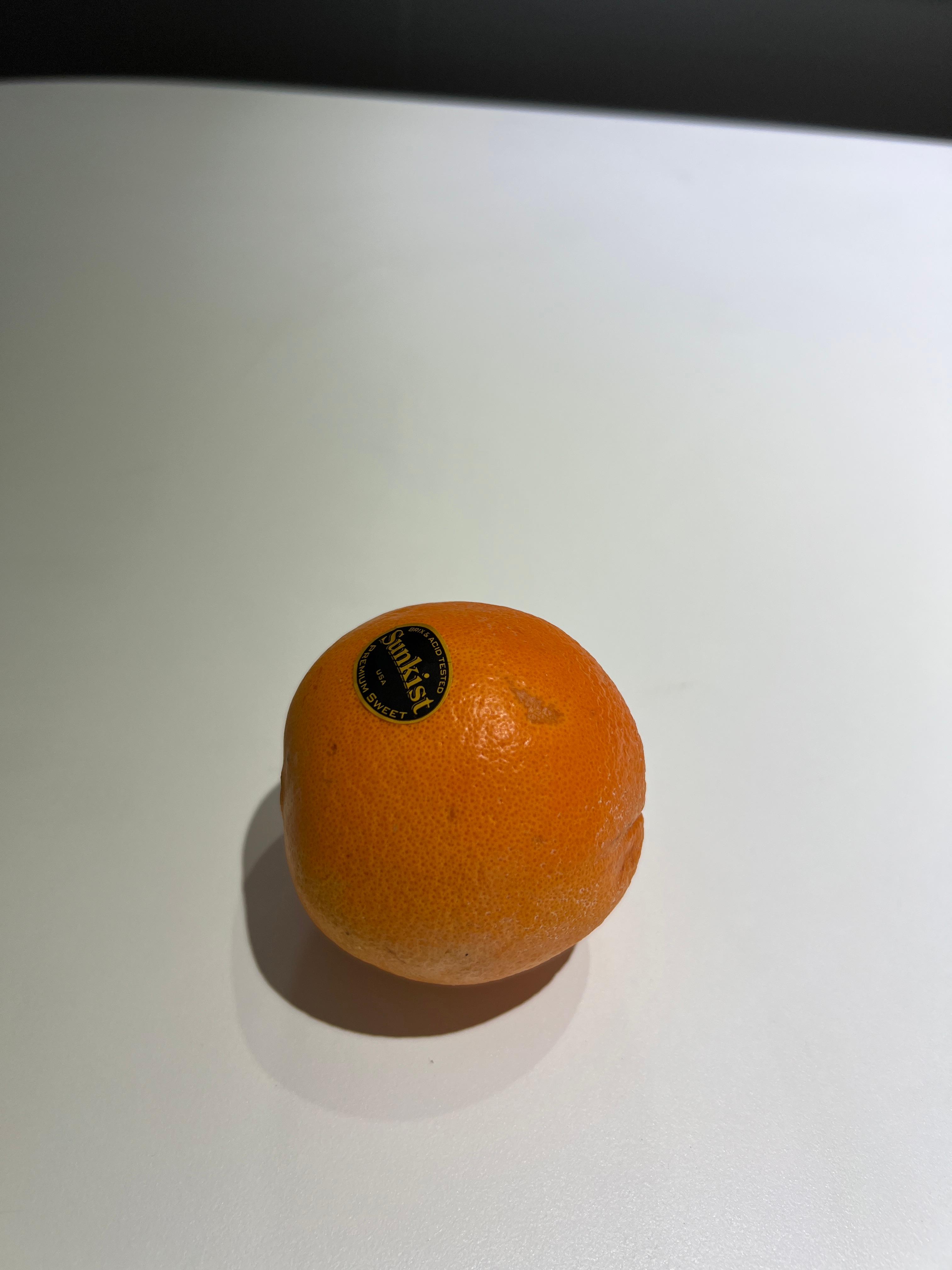 오렌지 사진3