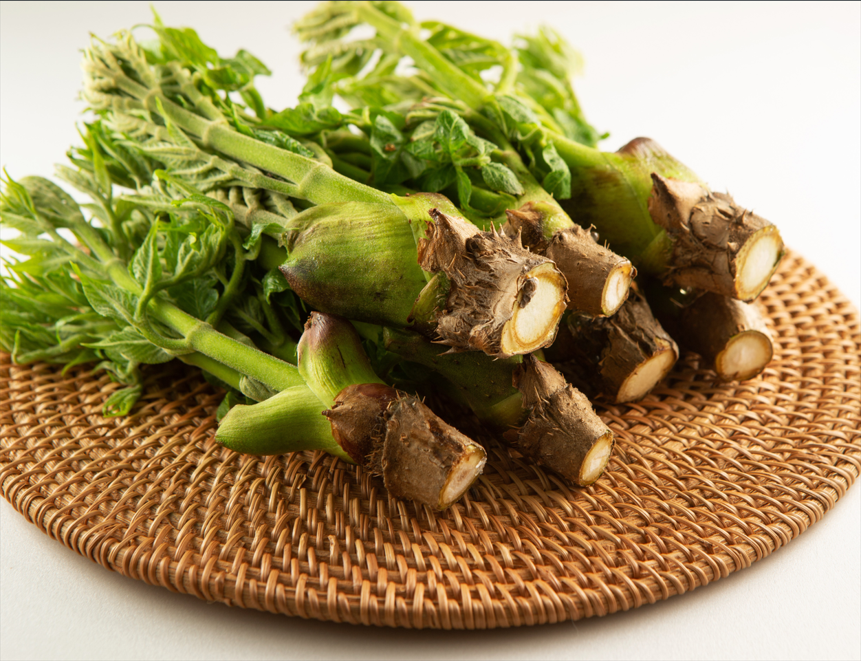 두릅 사진 캡쳐본