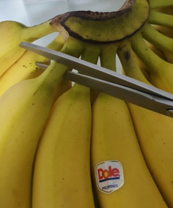 바나나 올바른 섭취 방법