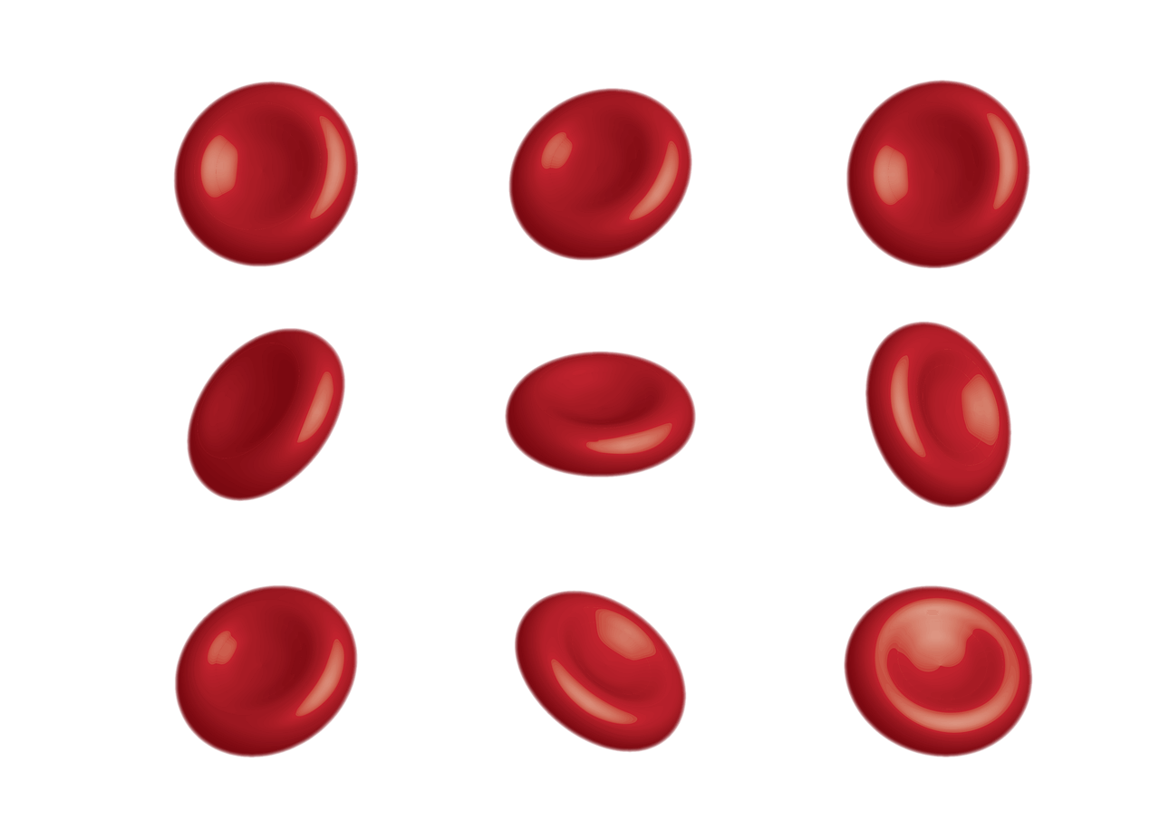 혈관청소에 좋은 음식