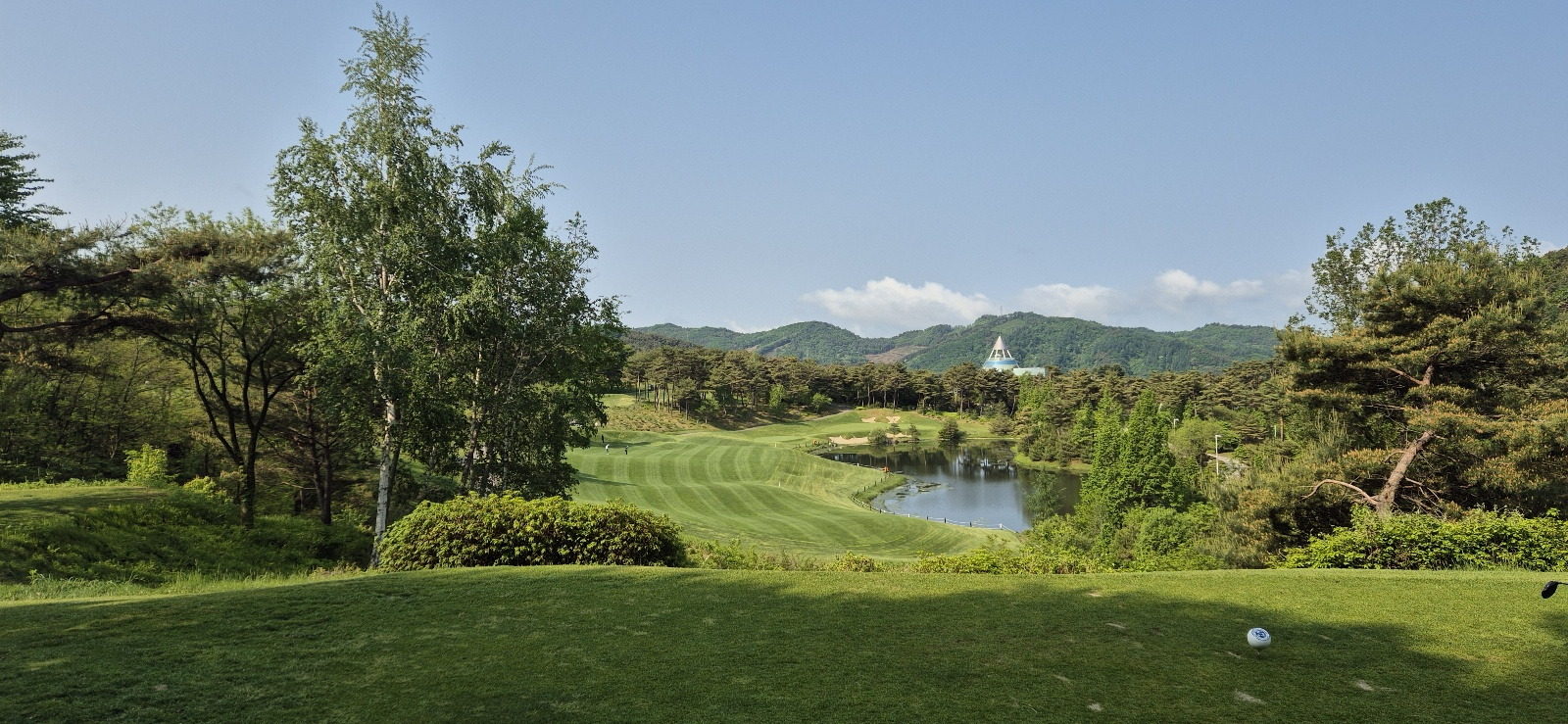 웰리힐리 페에웨이