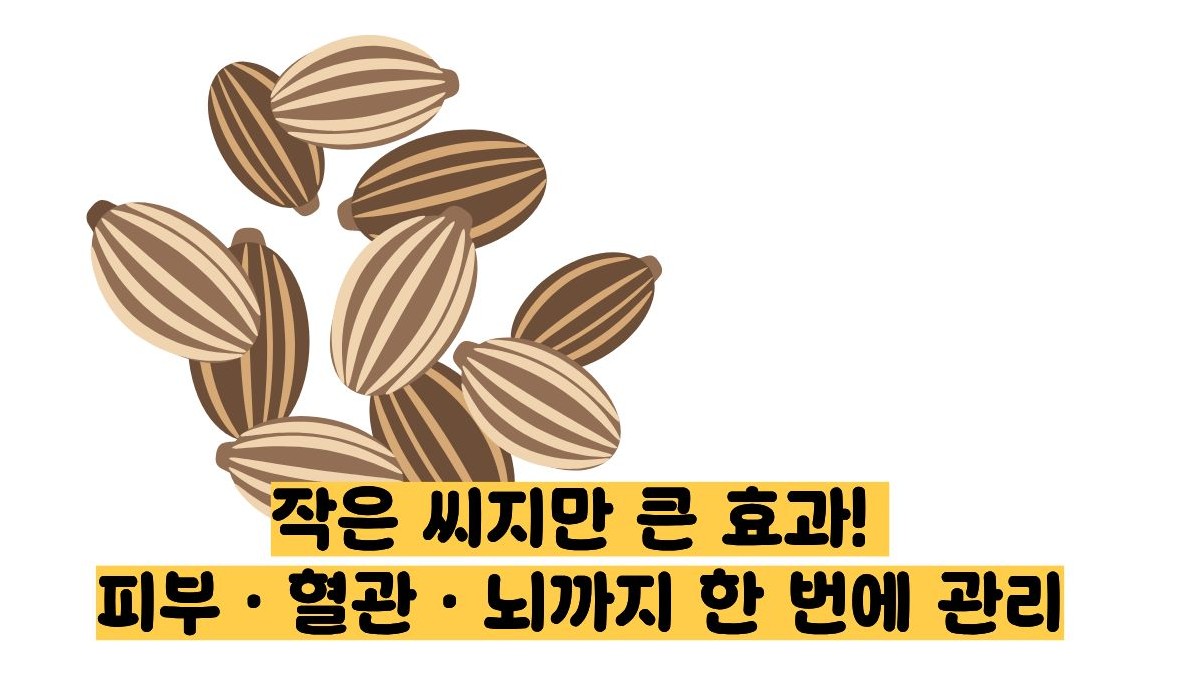 해바라기 씨 효능