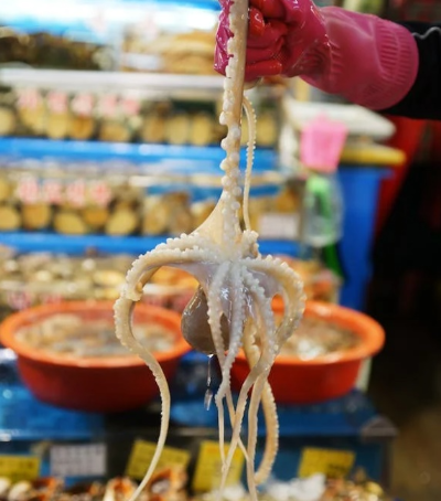 낙지 연포탕 만드는 법