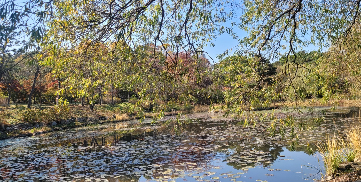 2024 물향기 수목원 가을