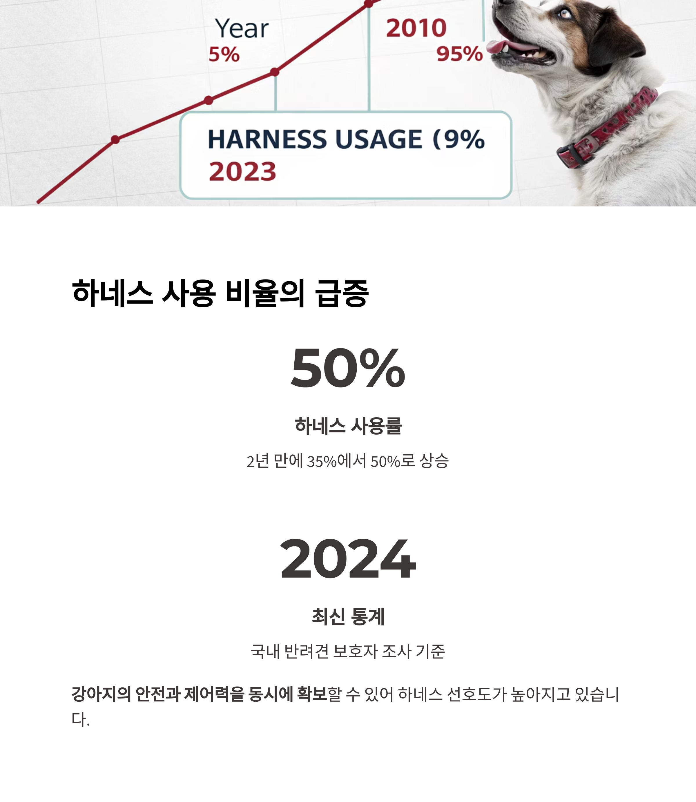 하네스 사용 비율의 급증