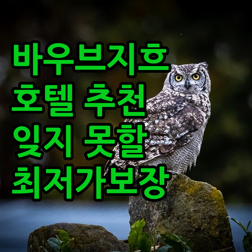 바우브지흐 호텔 추천 호텔 크시아즈,..