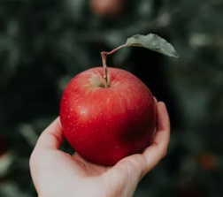 난청에 좋은 음식 영양제 식단