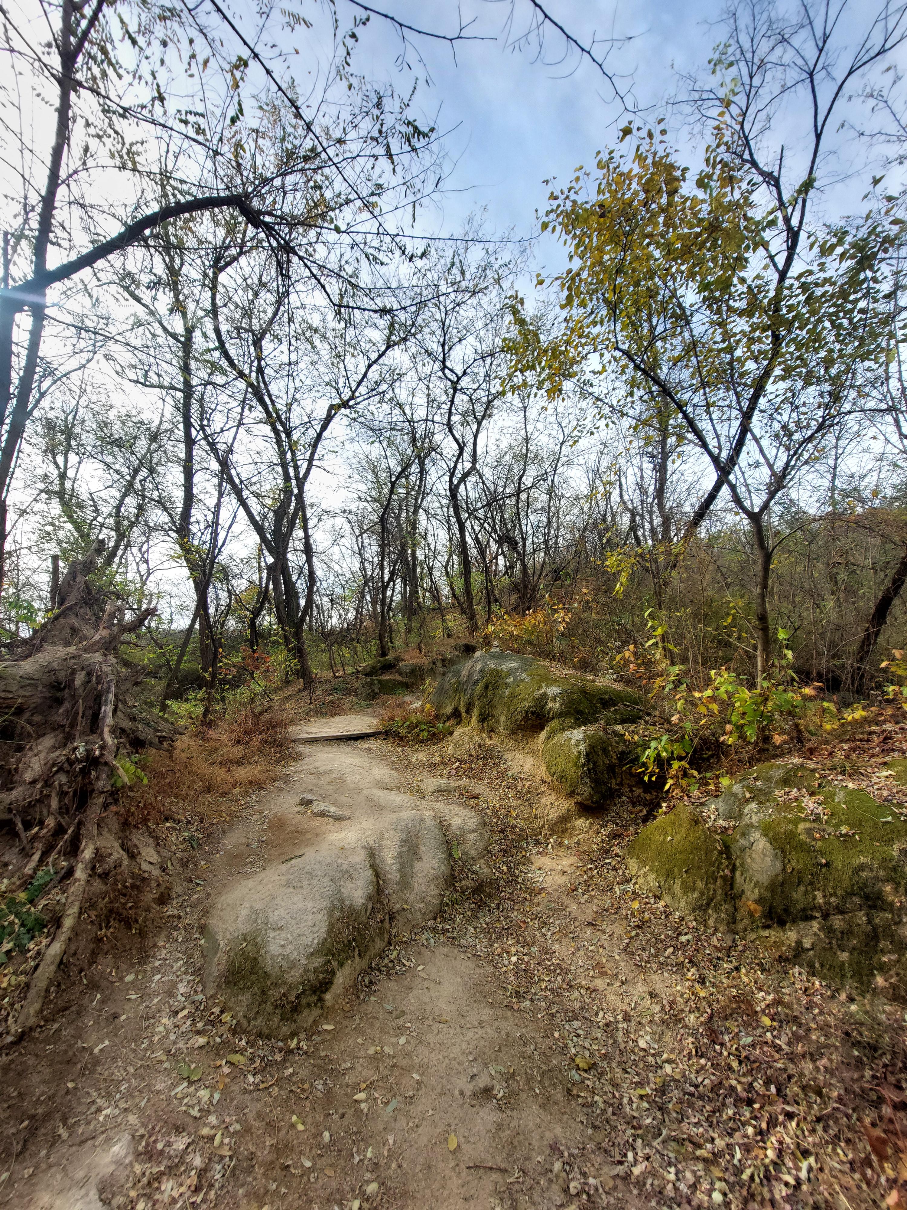 안산