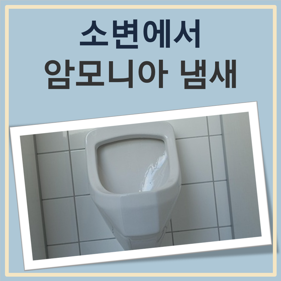소변에서 암모니아 냄새 나는 이유