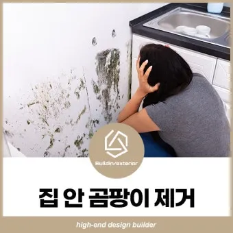 곰팡이 제거 락스 과탄산소다 환기 습기 원인 총정리_4