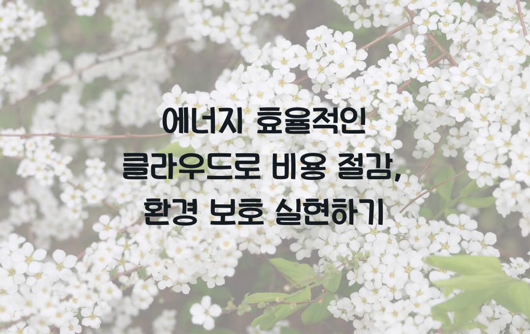 에너지 효율적인 클라우드 – 비용 절감과 환경 보호를 동시에!