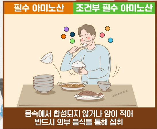 아르기닌