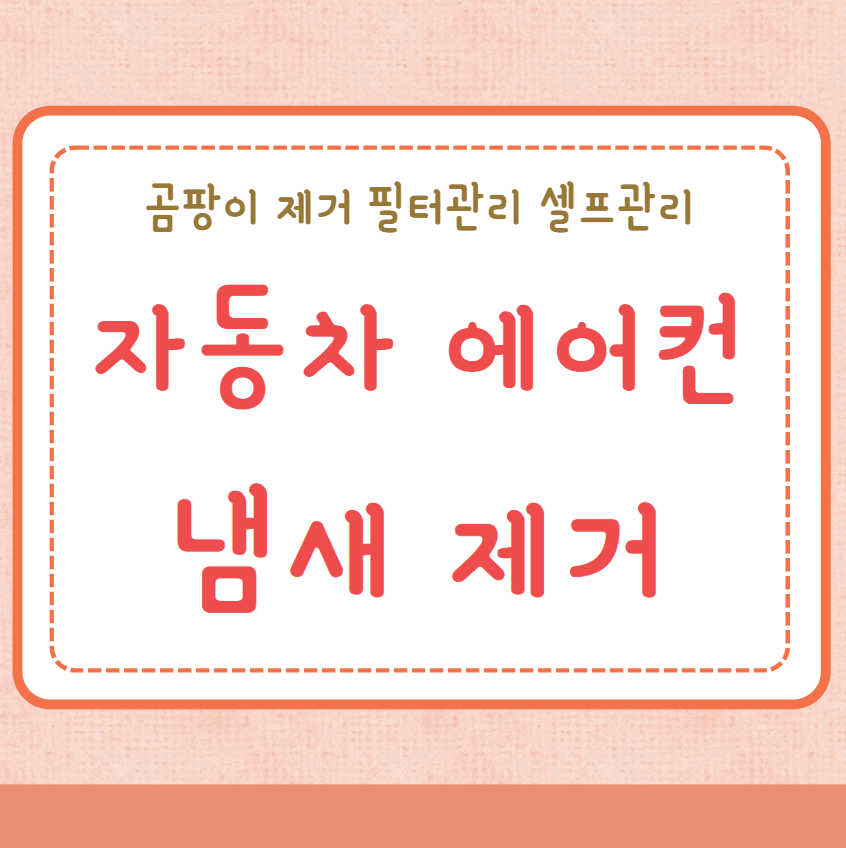 자동차 에어컨 냄새제거