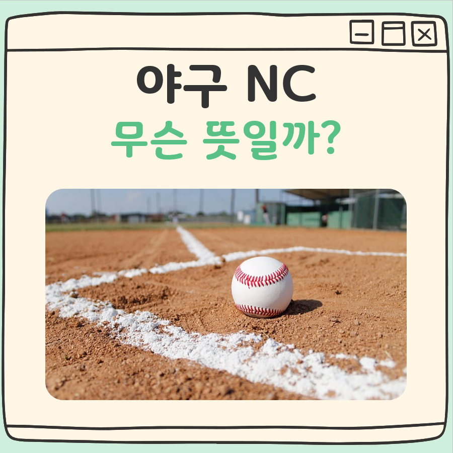 야구 NC 뜻