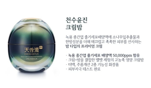 천수윤진 가격