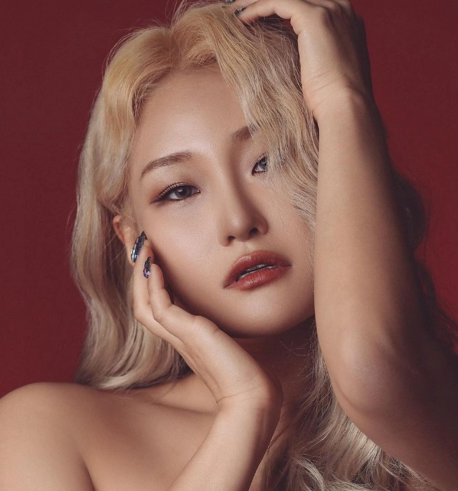 손승연 안성일 전 소속사 분쟁 개입 해명