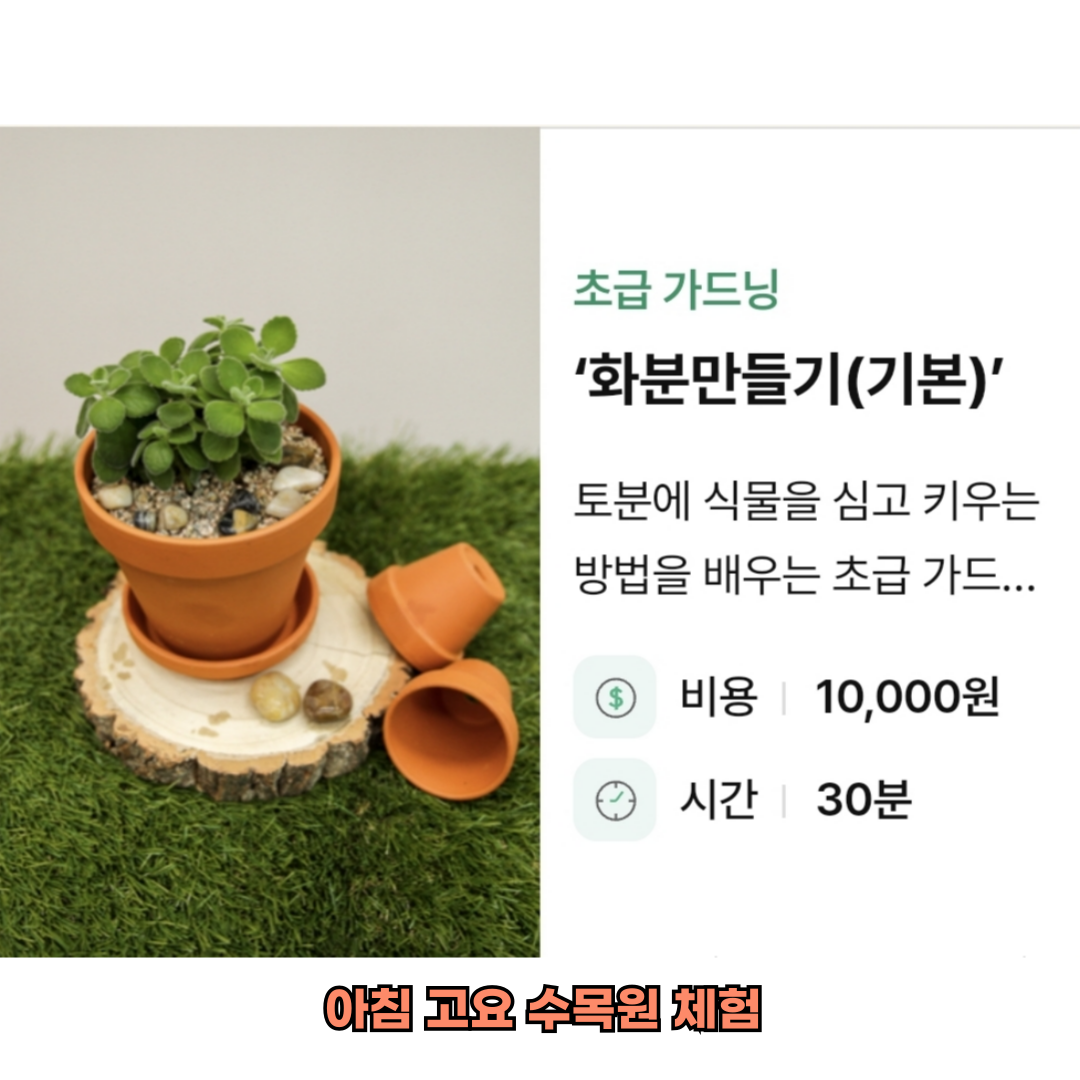 아침고요수목원 체험