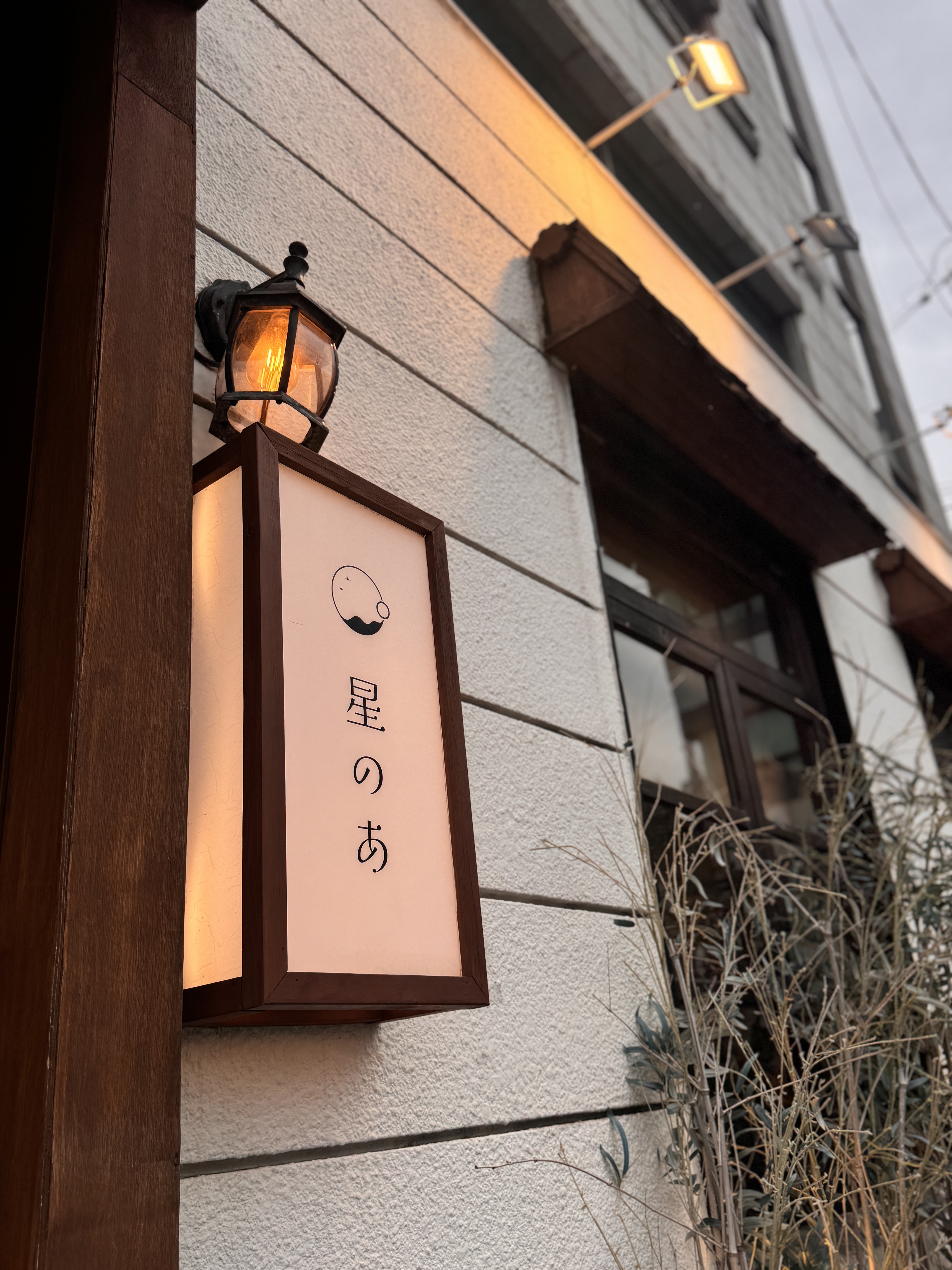 호시노아 오브 수월경화