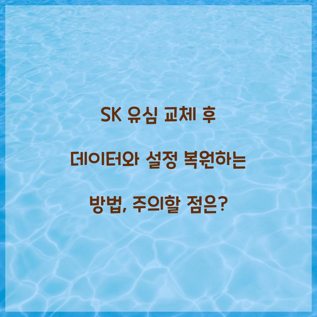 SK 유심 교체 후 데이터와 설정 복원하는 방법
