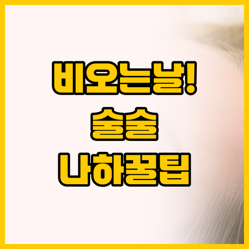 비 오는 날 나하 여행 실내 보물 같..