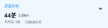 다음 빠른길 찾기 카카오맵 지도 사용 방법