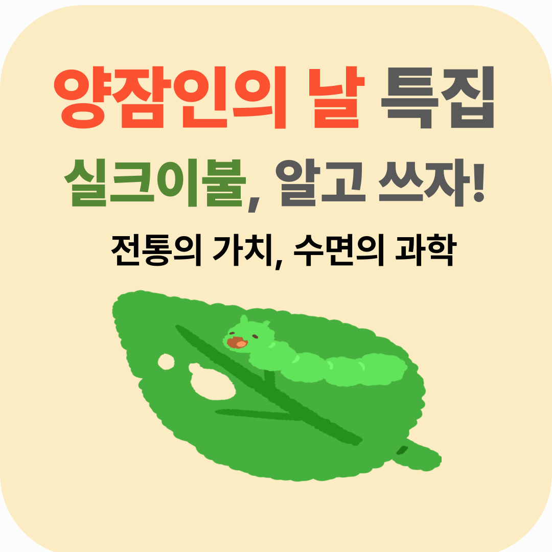 왜 양잠인의 날에 실크이불을 떠올려야 할까?
알고나면 놀라는 실크의 가치