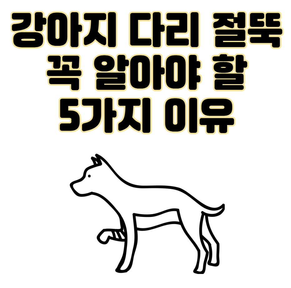 강아지 다리 절뚝? 보호자가 꼭 알아야 할 5가지 이유와 대처법