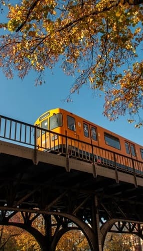 65세이상 노인 혜택