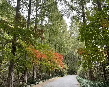 장태산 자연휴양림 예약_7