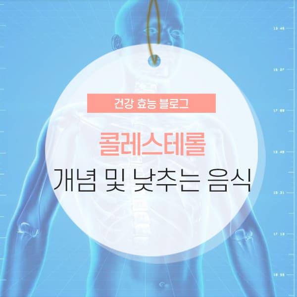콜레스테롤 정의 및 낮추는 음식 소개 컨텐츠