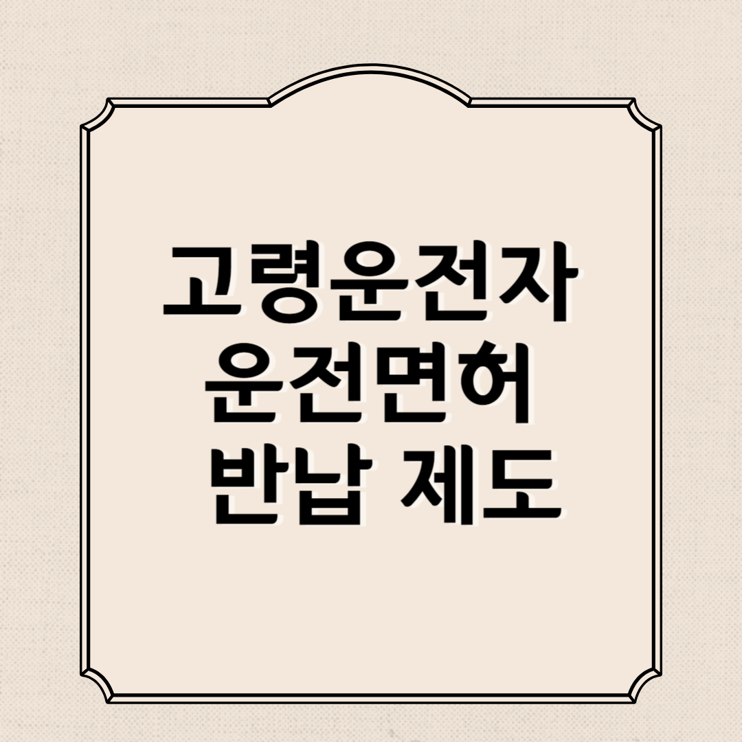 고령운전자 운전면허 반납 제도 알아보기