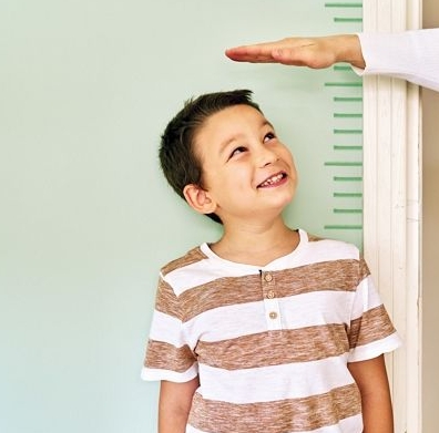 아이 키와 두뇌 발달