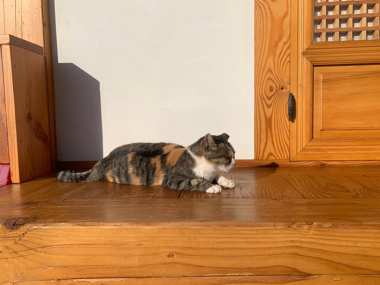 설날 연휴 국내 여행지