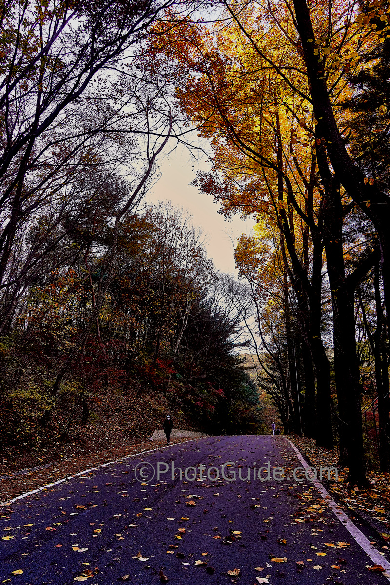 포토가이드 photoguide.com 가을 둘레길