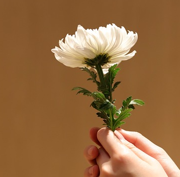 사망신고시 필요한 서류 및 신고기한 그리고 절차