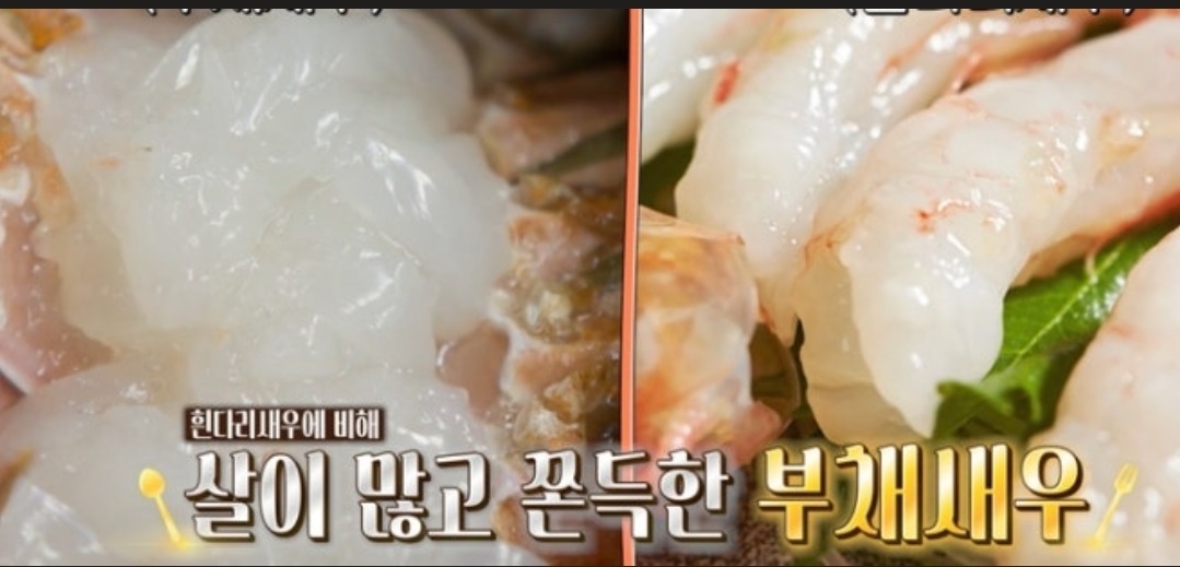 제주-부채새우-오래옥식당